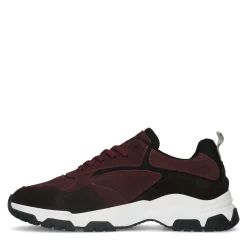 Bordeaux Nubuck Sneakers^Sacha Shop