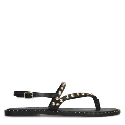 Zwarte Sandalen Met Goudkleurige Studs^Sacha Hot
